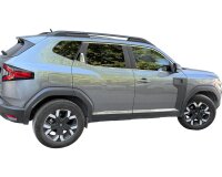 Edelstahl Chrom Türleisten passend für Dacia...