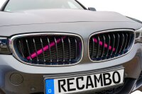 Kühler Grill Zierleisten V Streben passend für BMW E60 E61 | F44  F52 | Pink