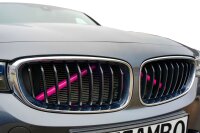 Kühler Grill Zierleisten V Streben passend für BMW X3 F25 | X4 F26 | Pink