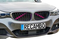 Kühler Grill Zierleisten V Streben passend für...