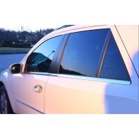 Edelstahl Fensterleisten Chrom für MERCEDES M KLASSE...