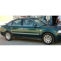 Edelstahl Türleisten für VW Passat B5 | 1997-2005 | Set 4 Türen | Chrom poliert