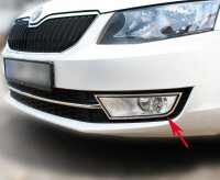 EDELSTAHL NEBELSCHEINWERFER UMRANDUNG CHROM für...