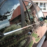 Edelstahl Fensterleisten Chrom für BMW X5 | Typ E53 | BJ 1999-2006 | 6-tlg Set