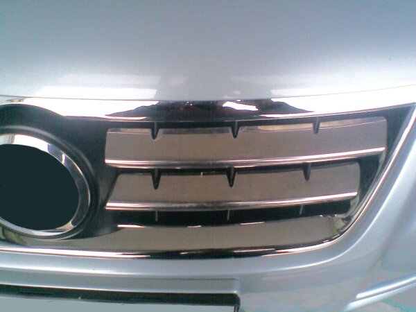Edelstahl Chrom Kühler Grill Leisten für VW Touareg I Typ 7L | BJ 2002-10/2006