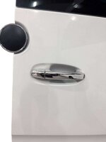 Recambo EDELSTAHL TÜRGRIFFBLENDEN kompatibel für MB SPRINTER W907 W910 | ab 2018 | 2 Schlüssellöcher