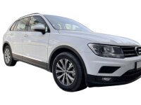 Edelstahl Chrom Türleisten für VW Tiguan II |...
